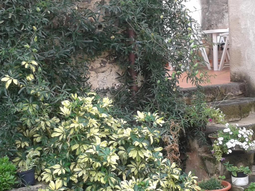 Bed&Breakfast Casa Pisanu Narbolia Luaran gambar